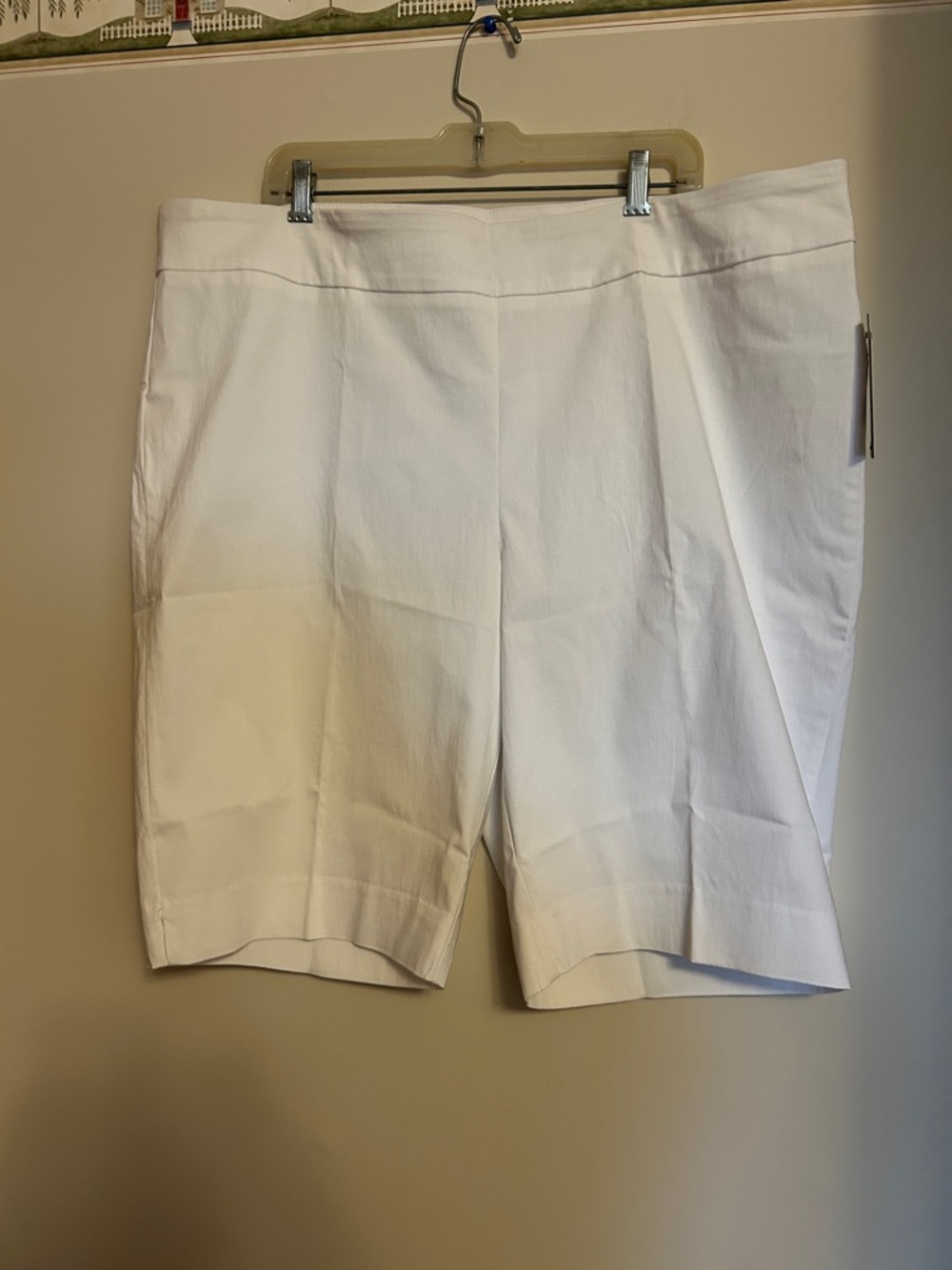 Zac & Rachel Woman white rayon/nylon pull on shorts new/tags size 24W